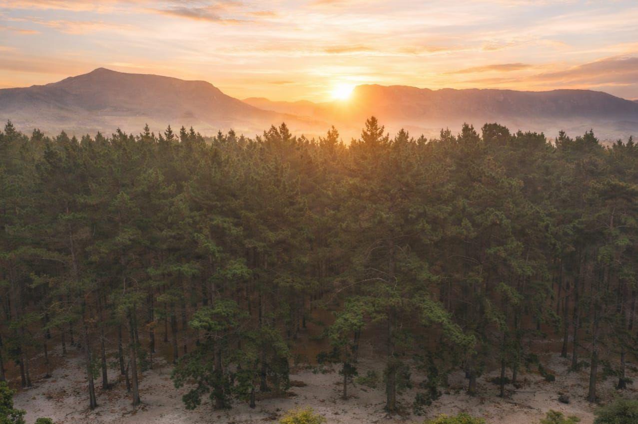 House · 6 bed · in Dennendal, Tokai, Cape Town